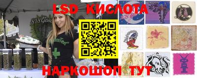 PSILOCYBIN Гусь-Хрустальный