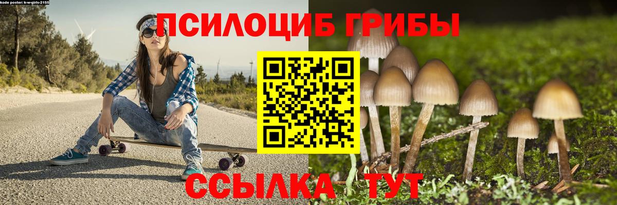 Псилоцибиновые грибы Psilocybe  Вход с VPN  Псилоцибиновые грибы ЛСД  Мирный 